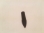 Target Points- Glue in points 100 Grain 23 Series - 