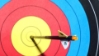 Trial - Speed Pro Max 23 Series Target Arrows 