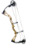 X-12 - x12