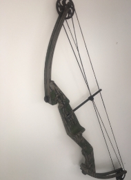Carbon Litespeed Bow 